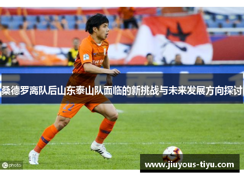 桑德罗离队后山东泰山队面临的新挑战与未来发展方向探讨